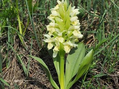 Kirándulás Annavölgybe